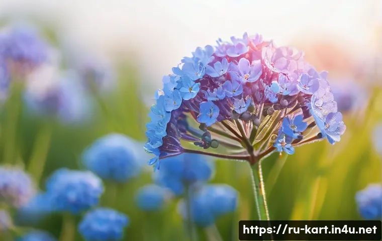 카트라이더 레벨업에 필요한 팁 관련 이미지 1